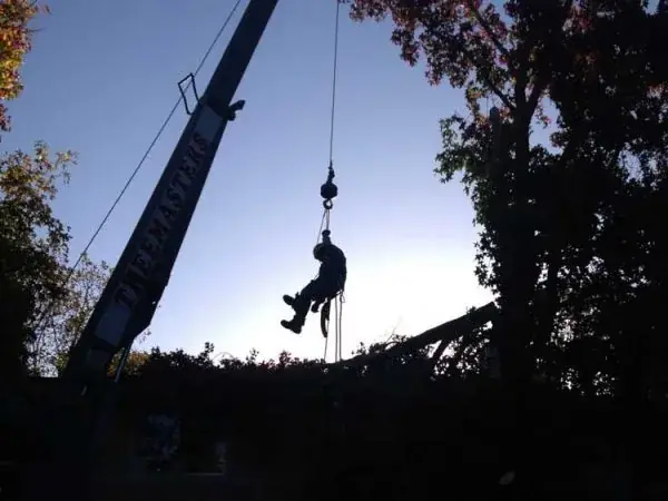 Treemasters