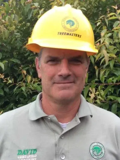 David Orlandi